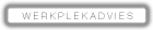 werkplekadvies